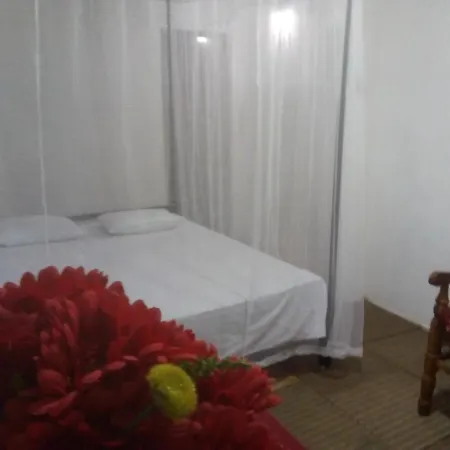 T & U Homestay Katunayaka Exterior photo
