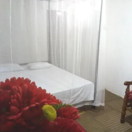 T & U Homestay Katunayaka Exterior photo